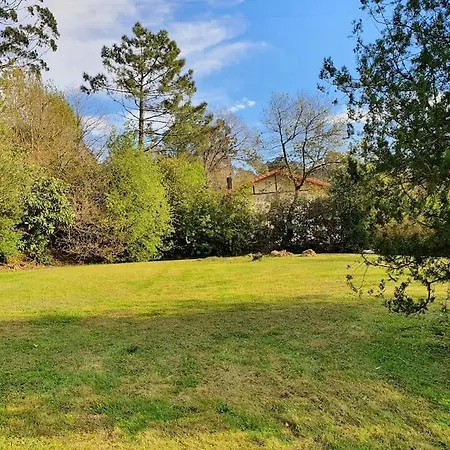 Willa Dreams And Friends On The Coast Of Bilbao.