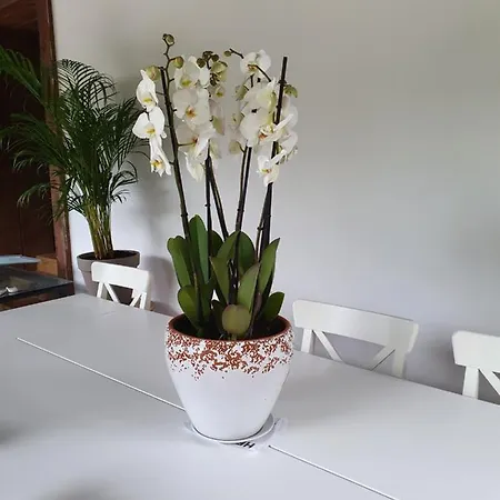 Dreams And Friends On The Coast Of Bilbao. * גטסו