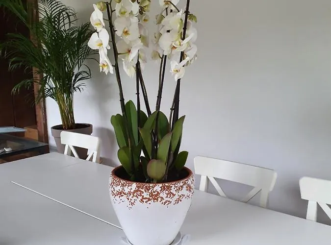 Dreams And Friends On The Coast Of Bilbao. * Getxo