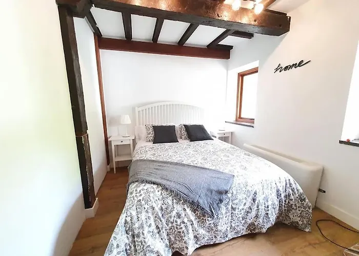 Dreams And Friends On The Coast Of Bilbao. *