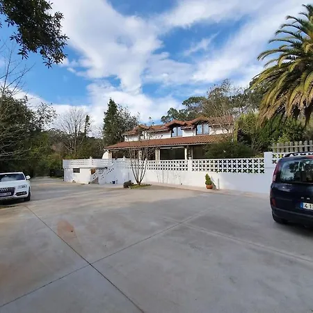 فيلة Dreams And Friends On The Coast Of Bilbao.